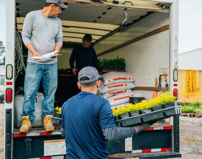 Three gardeners getting supplies out of a truck