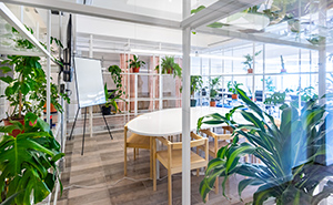 green-office