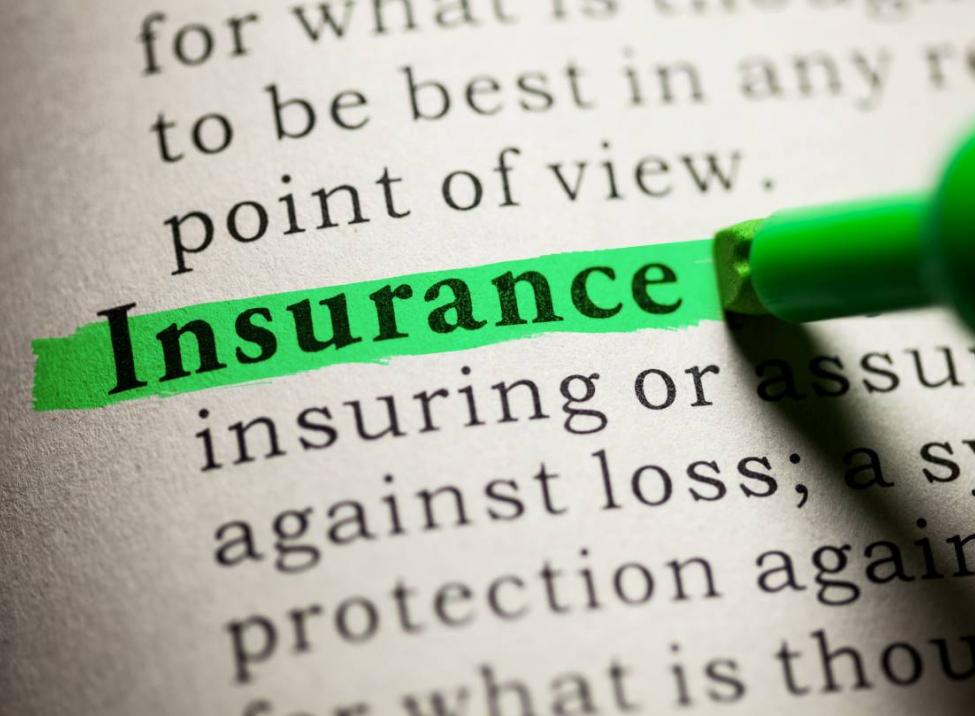 The word "Insurance" in a dictionary is being highlighted with a green highlighter
